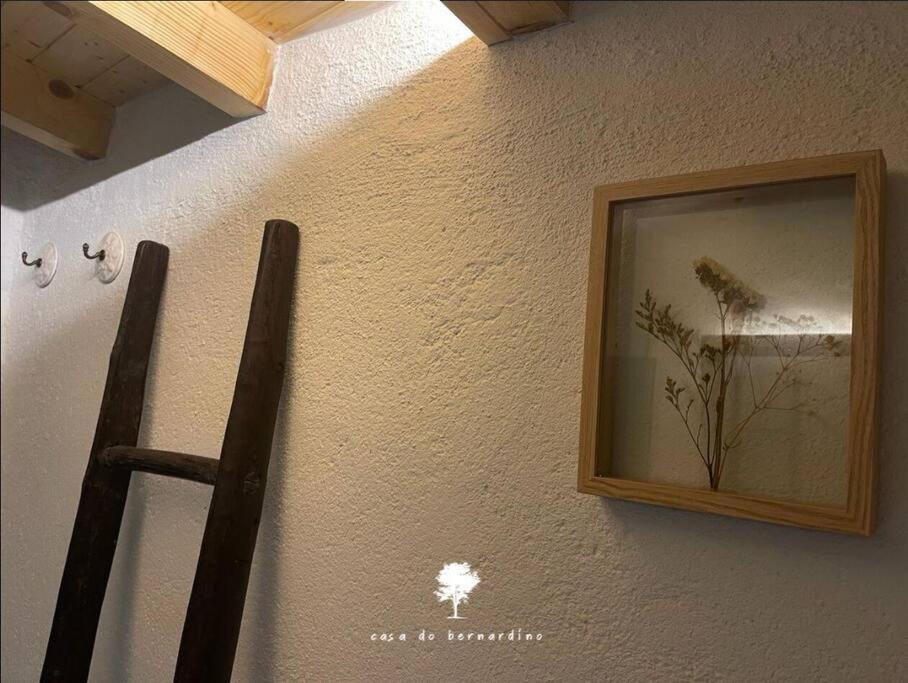 Willa Casa Do Bernardino Cabril  Zewnętrze zdjęcie