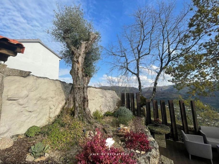 Willa Casa Do Bernardino Cabril  Zewnętrze zdjęcie